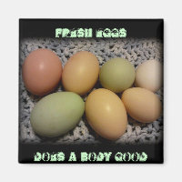 Eier machen einen Körper mit guten Magneten