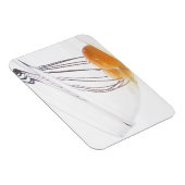 Eier Magnet (Rechte Seite)