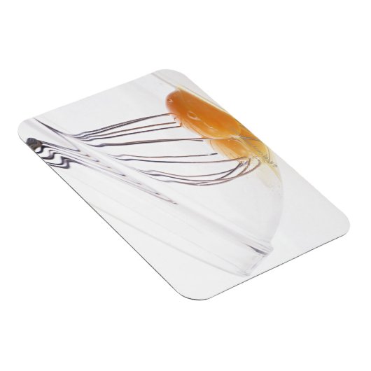Eier Magnet (Rechte Seite)