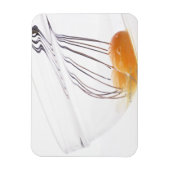 Eier Magnet (Vertikal)