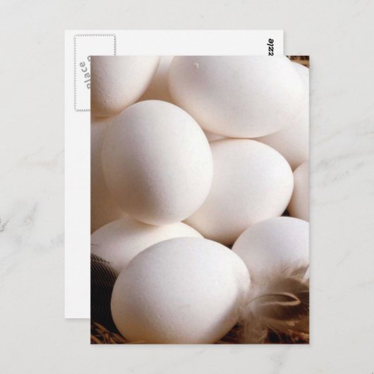 Eier Postkarte (Vorne/Hinten)