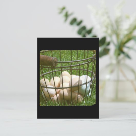 Eier Postkarte (Stehend Vorderseite)