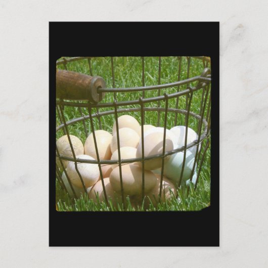 Eier Postkarte (Vorderseite)