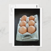 Eier Postkarte (Vorne/Hinten)