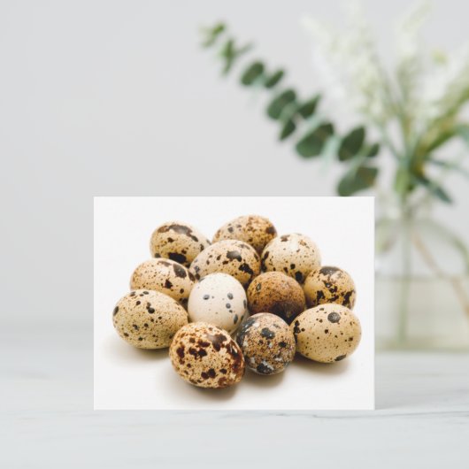 Eier Postkarte (Stehend Vorderseite)