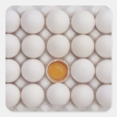 Eier Quadratischer Aufkleber (Vorderseite)