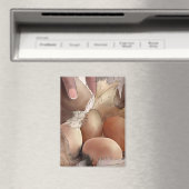 Eier sammeln magnet (In Situ (Geschirrspüler))