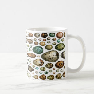 Eier zum Frühstück? Kaffeetasse