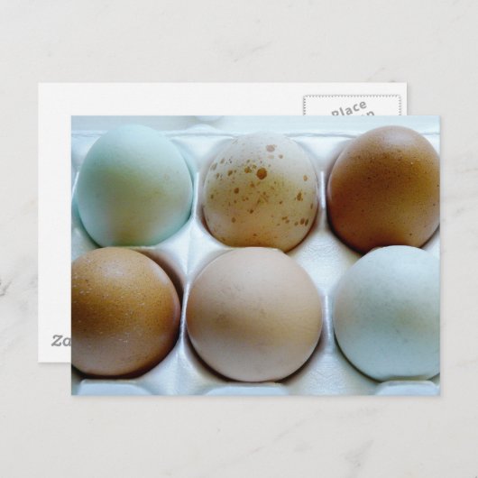 Eierkarton (gemischt) postkarte (Vorne/Hinten)