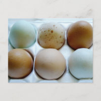 Eierkarton (gemischt)