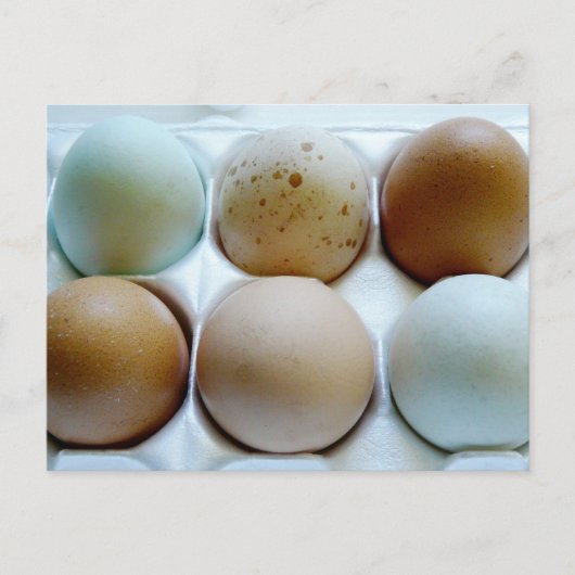 Eierkarton (gemischt) postkarte (Vorderseite)