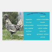 Eierkarton Rechteckiger Aufkleber (Vorderseite)