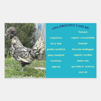 Eierkarton Rechteckiger Aufkleber