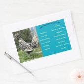 Eierkarton Rechteckiger Aufkleber (Umschlag)