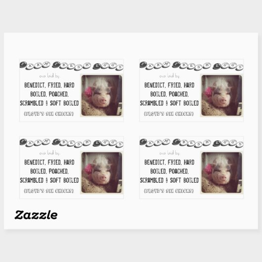 Eierkarton Rechteckiger Aufkleber (Blatt)