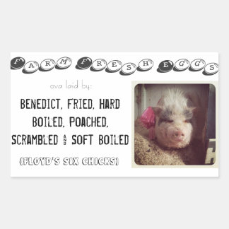 Eierkarton Rechteckiger Aufkleber