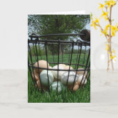 Eierkörbe Karte (Gelbe Blume)