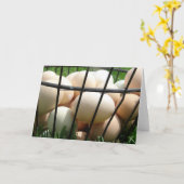 Eierkörbe Karte (Gelbe Blume)