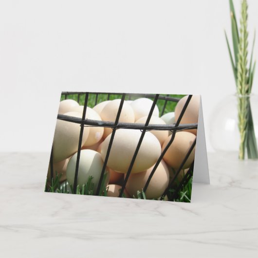 Eierkörbe Karte (Vorderseite)