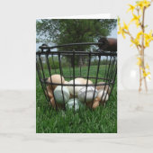 Eierkörbe Karte (Gelbe Blume)