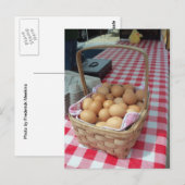 Eierkörbe Postkarte (Vorne/Hinten)