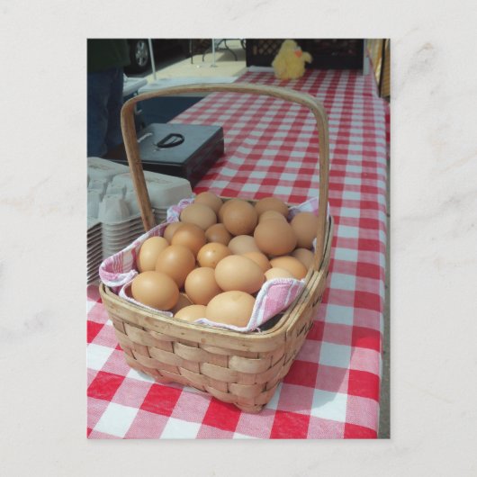 Eierkörbe Postkarte (Vorderseite)