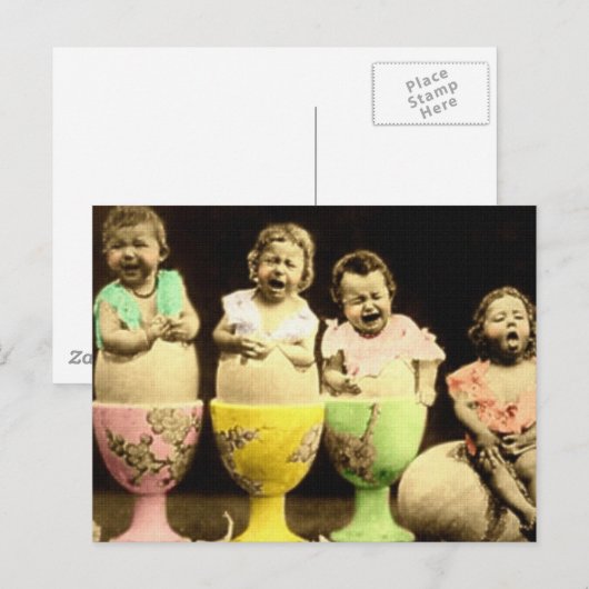 Eierkuchen Postkarte (Vorne/Hinten)
