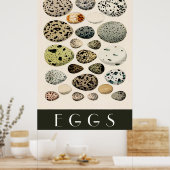 Eierposter Poster (Küche)