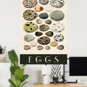 Eierposter Poster (Heimbüro)