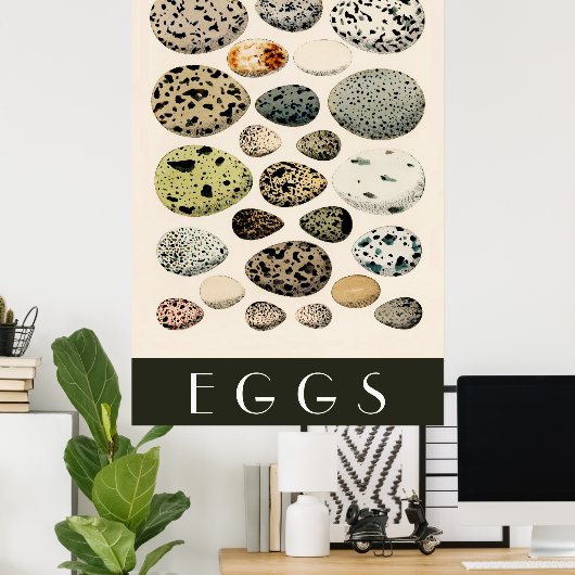 Eierposter Poster (Heimbüro)