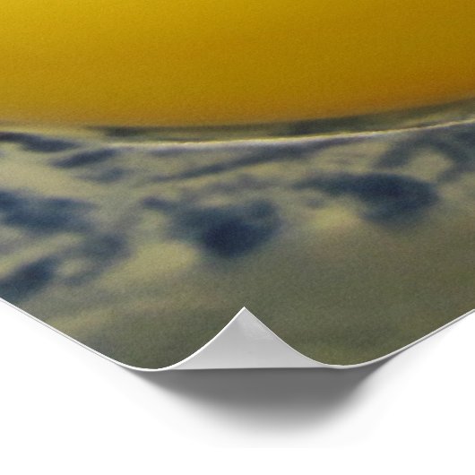 Eierposter Poster (Ecke)