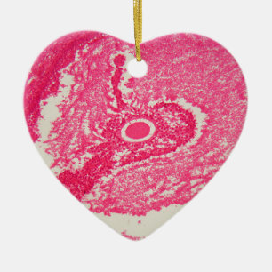 Eierstockzellen unter dem Mikroskop Keramik Ornament