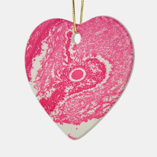 Eierstockzellen unter dem Mikroskop Keramik Ornament (Links)