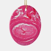 Eierstockzellen unter dem Mikroskop Keramikornament (Rechts)