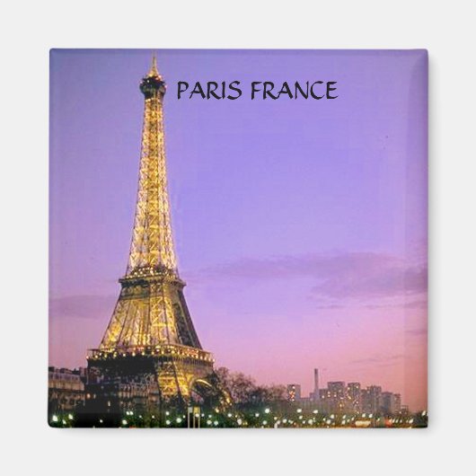 EIFFEL TOWER, PARIS FRANCE MAGNET (Vorne)