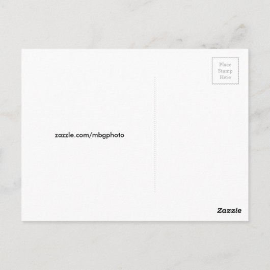 Eiffel Tower Postkarte (Rückseite)