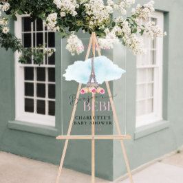 Eiffelturm Bonjour Baby Begrüßungszeichen Acrylschild