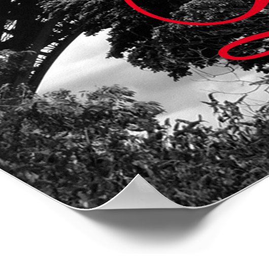 Eiffelturm in der Liebe City Paris Schwarz & Weiß Poster (Ecke)