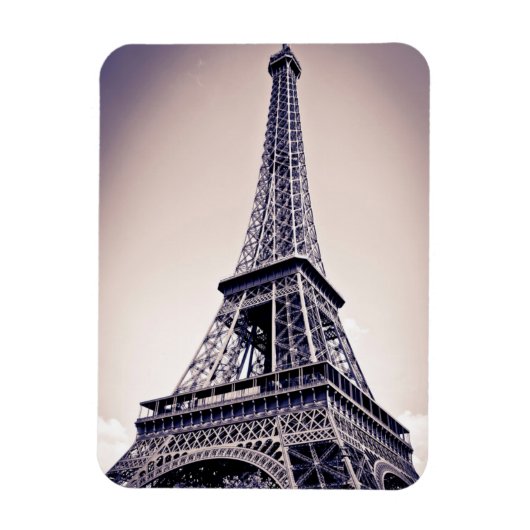 Eiffelturm, Paris, Frankreich Magnet (Vertikal)