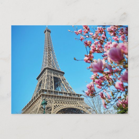 Eiffelturm, Paris Frankreich, Pink Blossom Postcar Postkarte (Vorderseite)