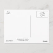 Eiffelturm. Paris, Frankreich Postkarte (Rückseite)