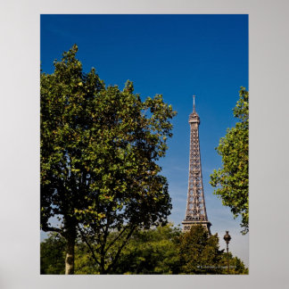 Eiffelturm und Bäume, Paris, franz. Poster