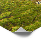 Eiffelturm und Kirschblütenposter Poster (Ecke)