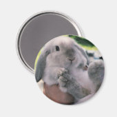 Eifüßer Magnet (Vorderseite/Rückseite)