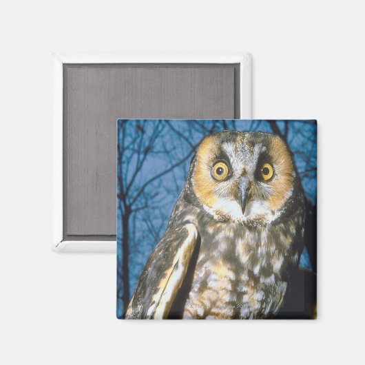 Eigenart Magnet (Vorderseite/Rückseite)