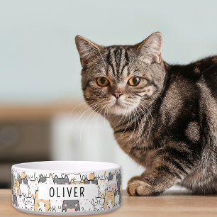 Eigenartige Katzen Benutzername Napf