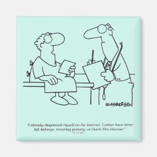 Eigendiagnose Magnet