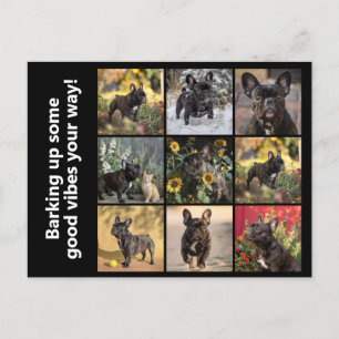 Eigene 9 x Bilder + Text Postkarte