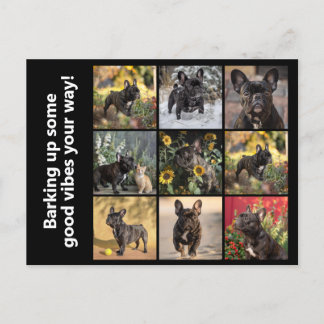 Eigene 9 x Bilder + Text Postkarte