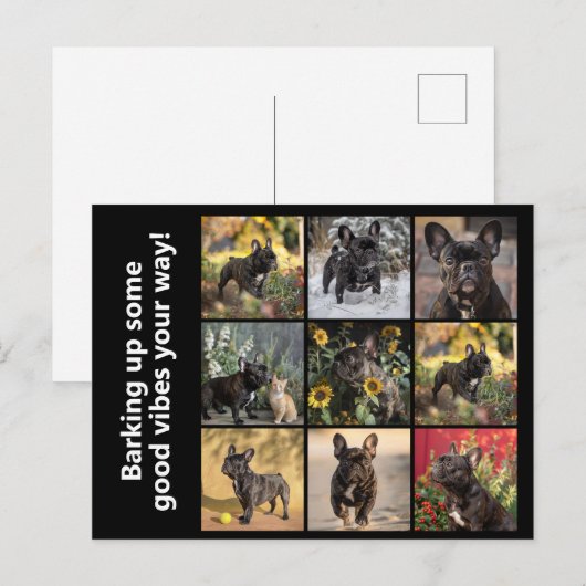 Eigene 9 x Bilder + Text Postkarte (Vorne/Hinten)